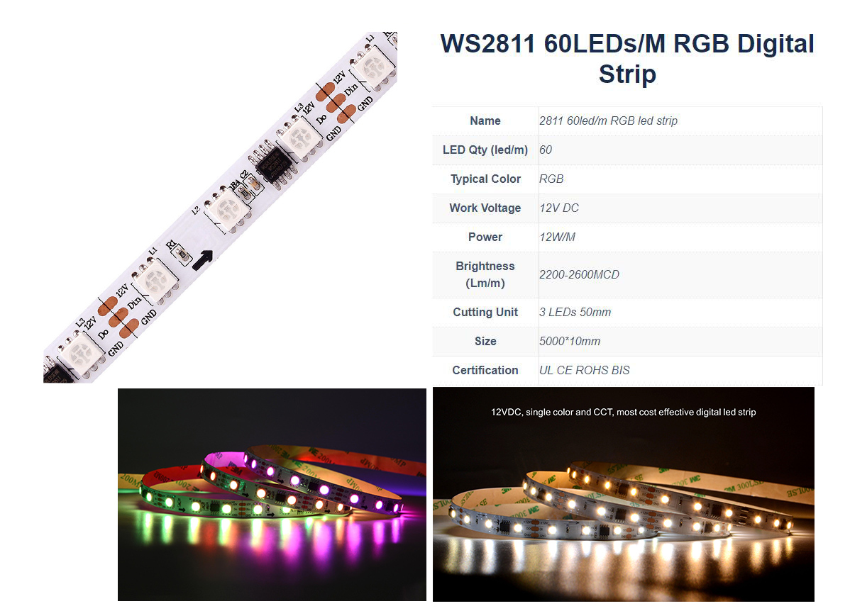 WS2811-60-.jpg